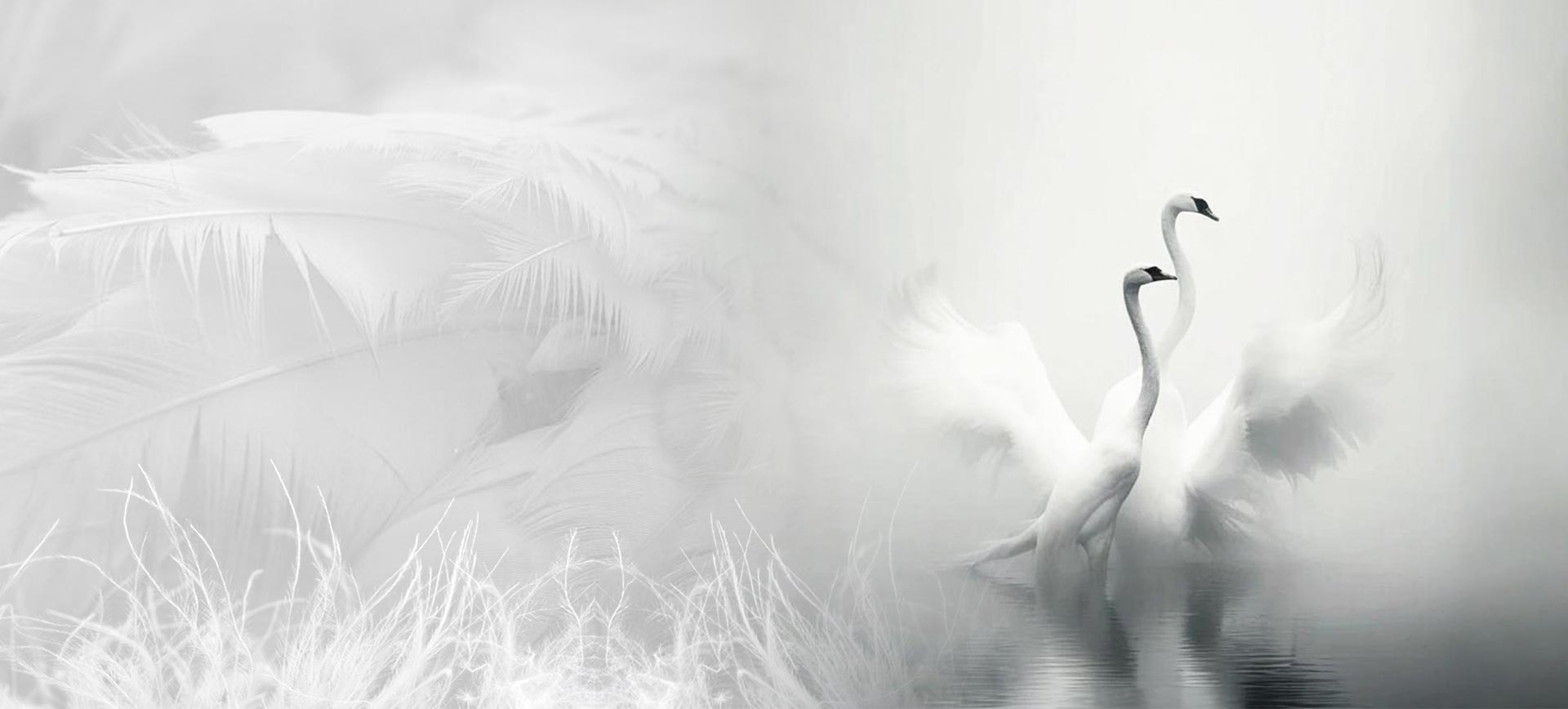 Zhejiang Shengjie Turun Produk Co, Ltd.