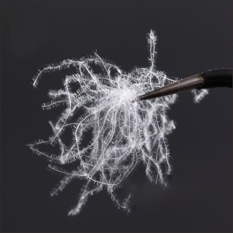 80% Bulu Bebek Putih Murni