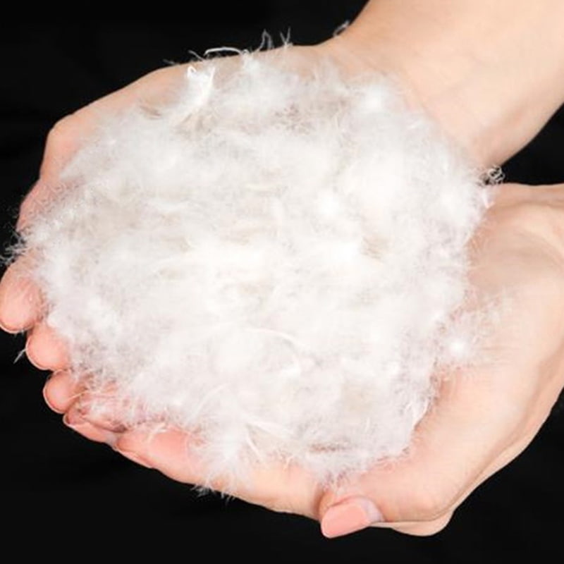 90% Bulu Angsa Putih Murni