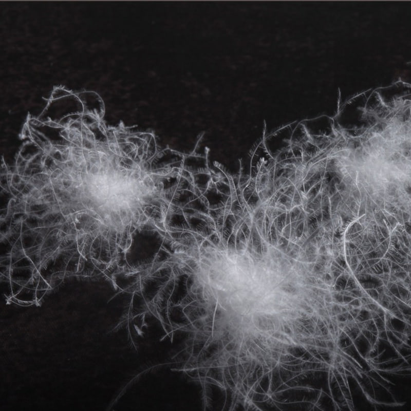 80% Bulu Angsa Putih 80% Bulu Angsa Putih