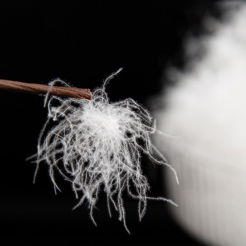 80% Bulu Angsa Putih 80% Bulu Angsa Putih