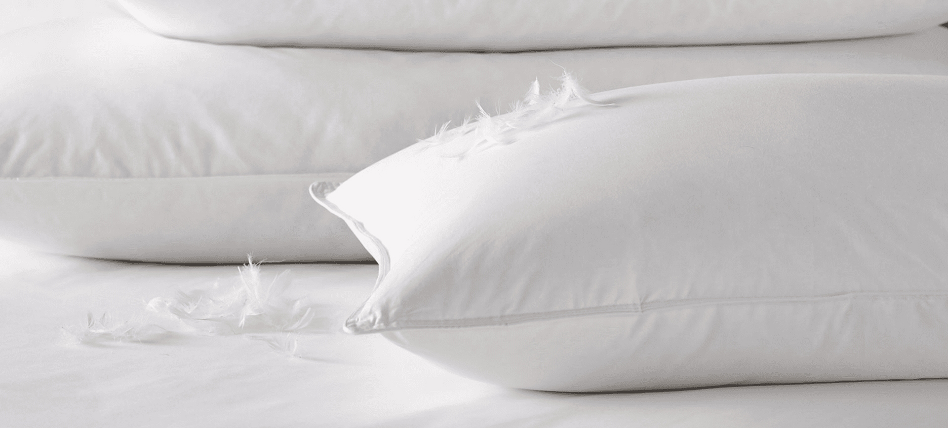 Zhejiang Shengjie Turun Produk Co, Ltd.