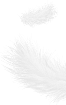 Zhejiang Shengjie Turun Produk Co, Ltd.