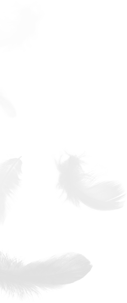 Zhejiang Shengjie Turun Produk Co, Ltd.